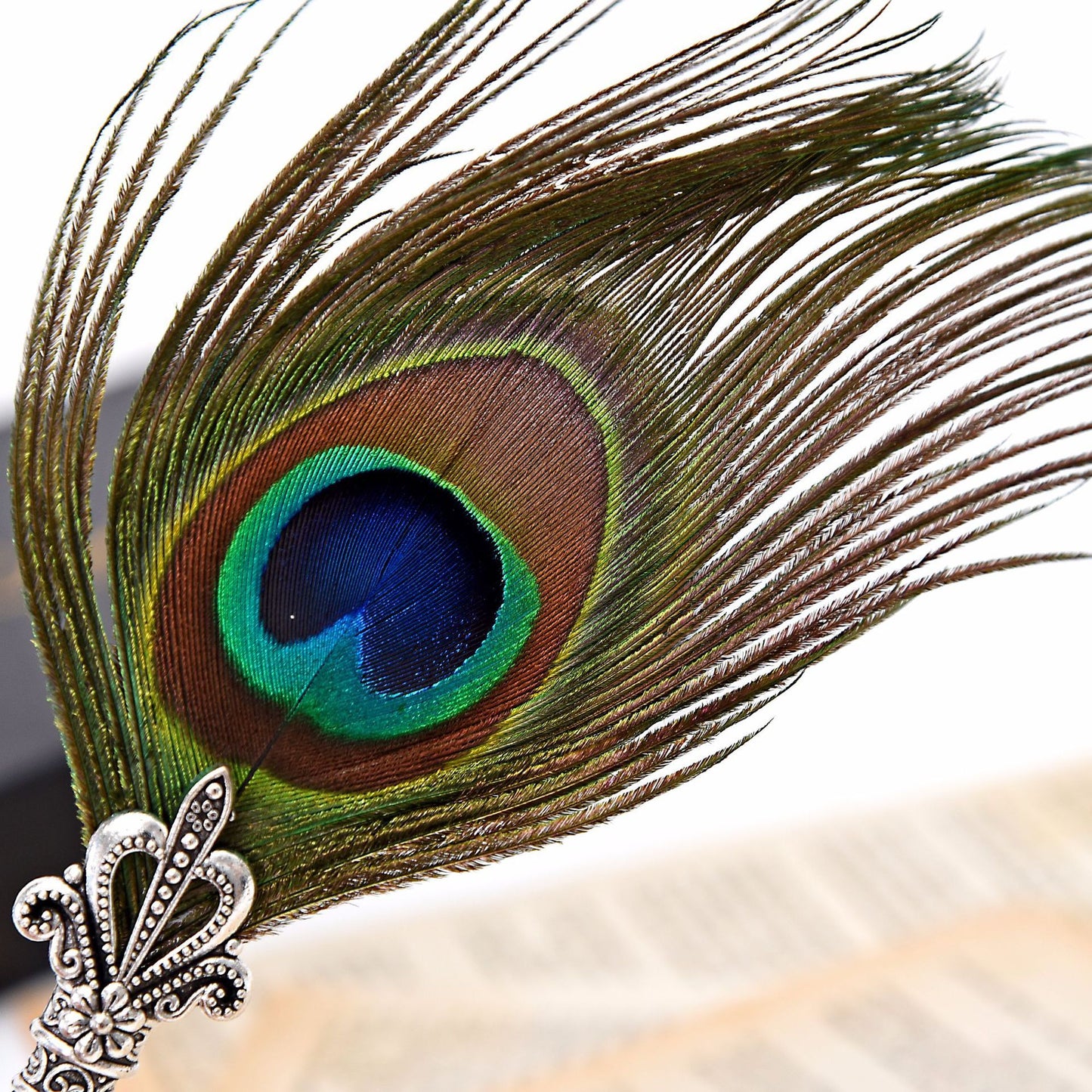 Vintage Feather Pen Peacock Feather Pen Set