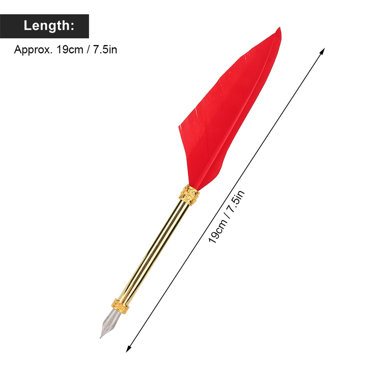 Vintage Style Calligraphic Feather Pen Kit  Gift Box