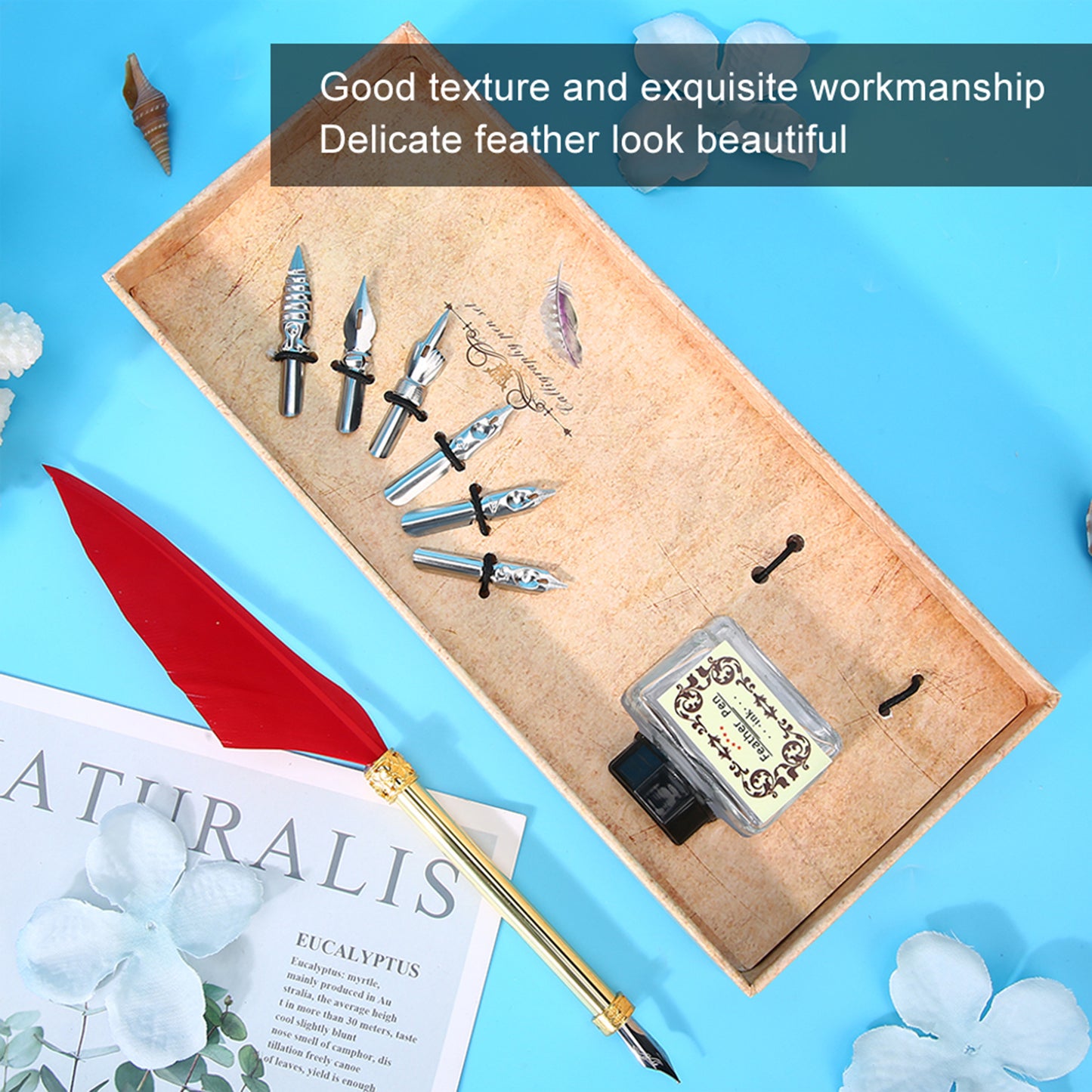 Vintage Style Calligraphic Feather Pen Kit  Gift Box